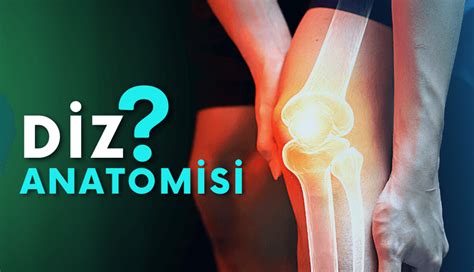 diz ekleminin osteoartriti veya artriti nasıl belirlenir